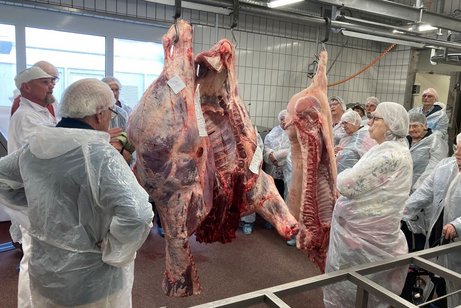 Globus Besichtigung