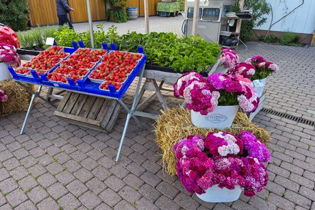 VdK OV Kinderbeuern-Bengel