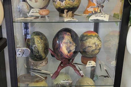 Straußenfarm Tagesfahrt Adler