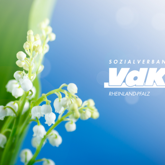 Sommerliches Motiv mit VdK-Logo