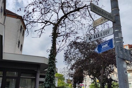 Neue Beschilderung Neuer blauer Wegweiser
