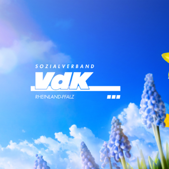 Narzissen vor einem blauen Himmel mit zwei V&ouml;geln.