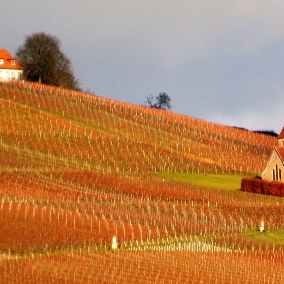 Der Herbst ist gekommen.