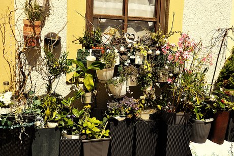 LebensKunstMarkt Remagen