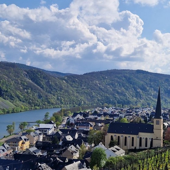 Dieses Bild zeigt unseren Heimatort Kröv an der Mosel.