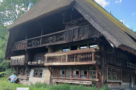Vogtsbauernhof Alter Bauernhof mit Strohdach.