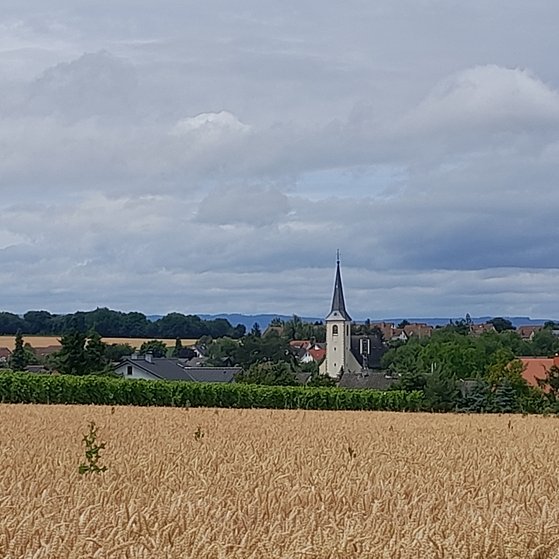Foto von Ebersheim, Aufnahme zeigt Kirche, Gärten, Häuser im Hintergrund der Taunus