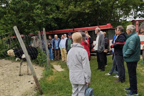 Mitglieder hören dem Beitrag zu