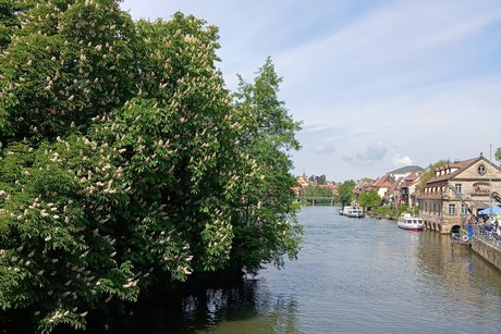 Am alten Hafen in Bamberg.