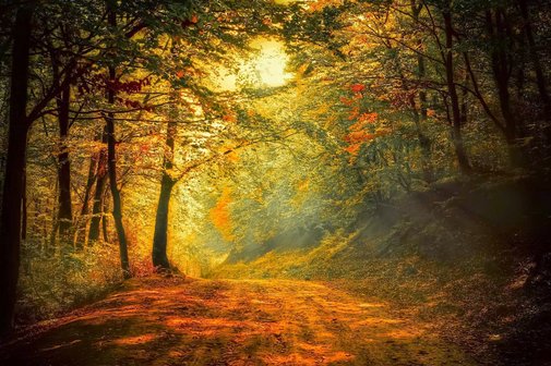 Von Herzen Geburtstagsgrüße zum November