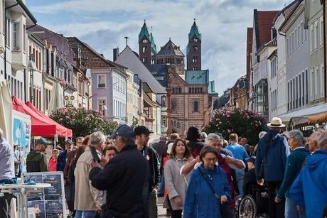 Bauernmarkt , Dom