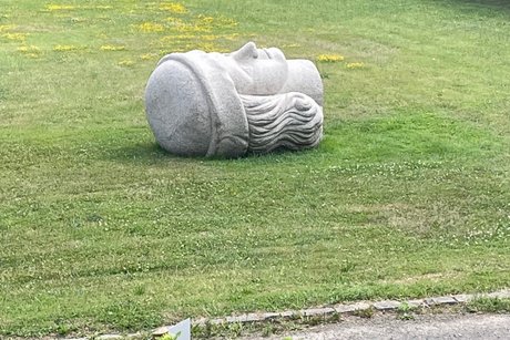 ohne