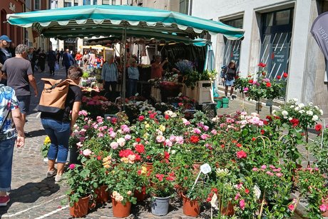 Freiburger Marktplatz