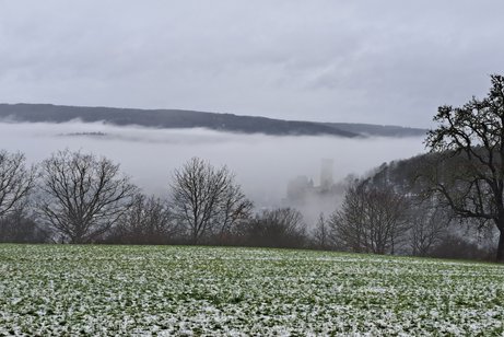 Die Burg Schwalbach liegt in der winterlichen Landschaft im Nebel.