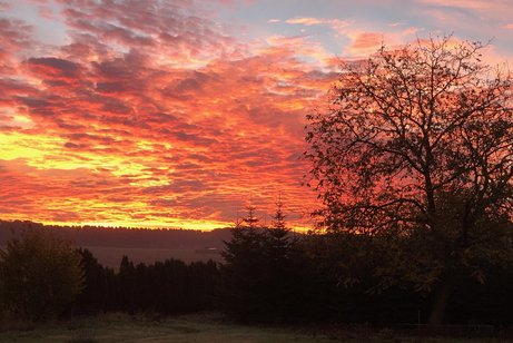 Sonnenuntergang auf einem Feld.