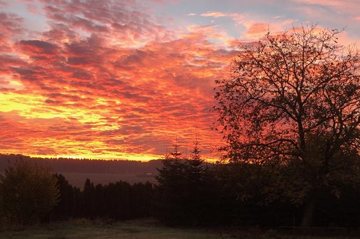 Sonnenuntergang auf einem Feld.