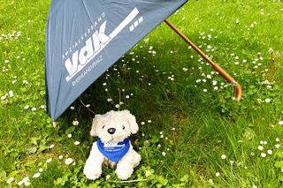 Unter einem Vdk-Regenschirm sitzt ein kleiner Pluschhund mit VdK-Halstuch.