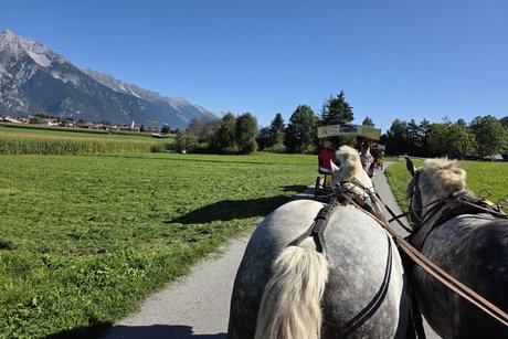 Pferdekutschfahrt