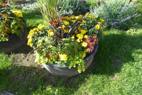 Landesgartenschau Neuss Landesgartenschau Neuss