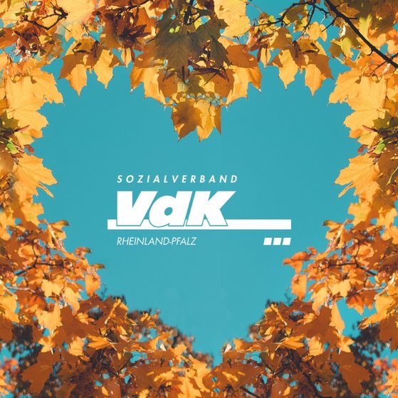 Weißes Vdk-Logo umrahmt von Herbstlaub in Herzform.