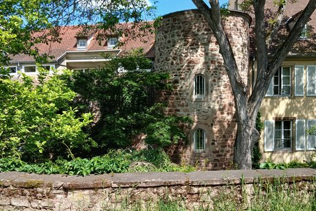 Obernai Teil der alten Stadtmauer mit Turm.