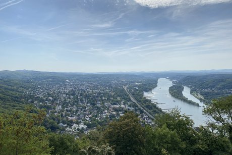 Blick auf den Rhein