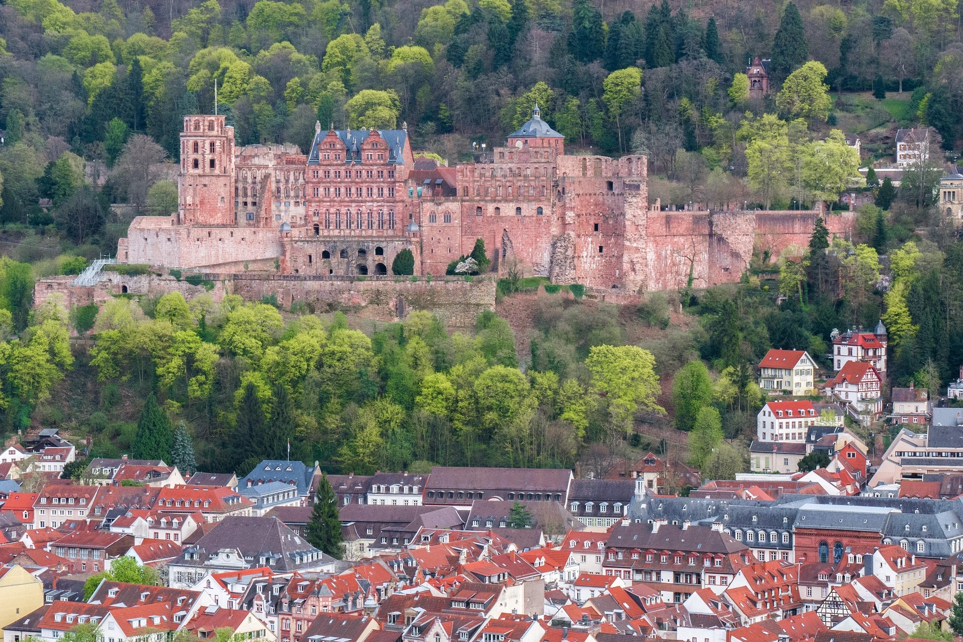 Blick von oben auf die Stadt Heidelberg.