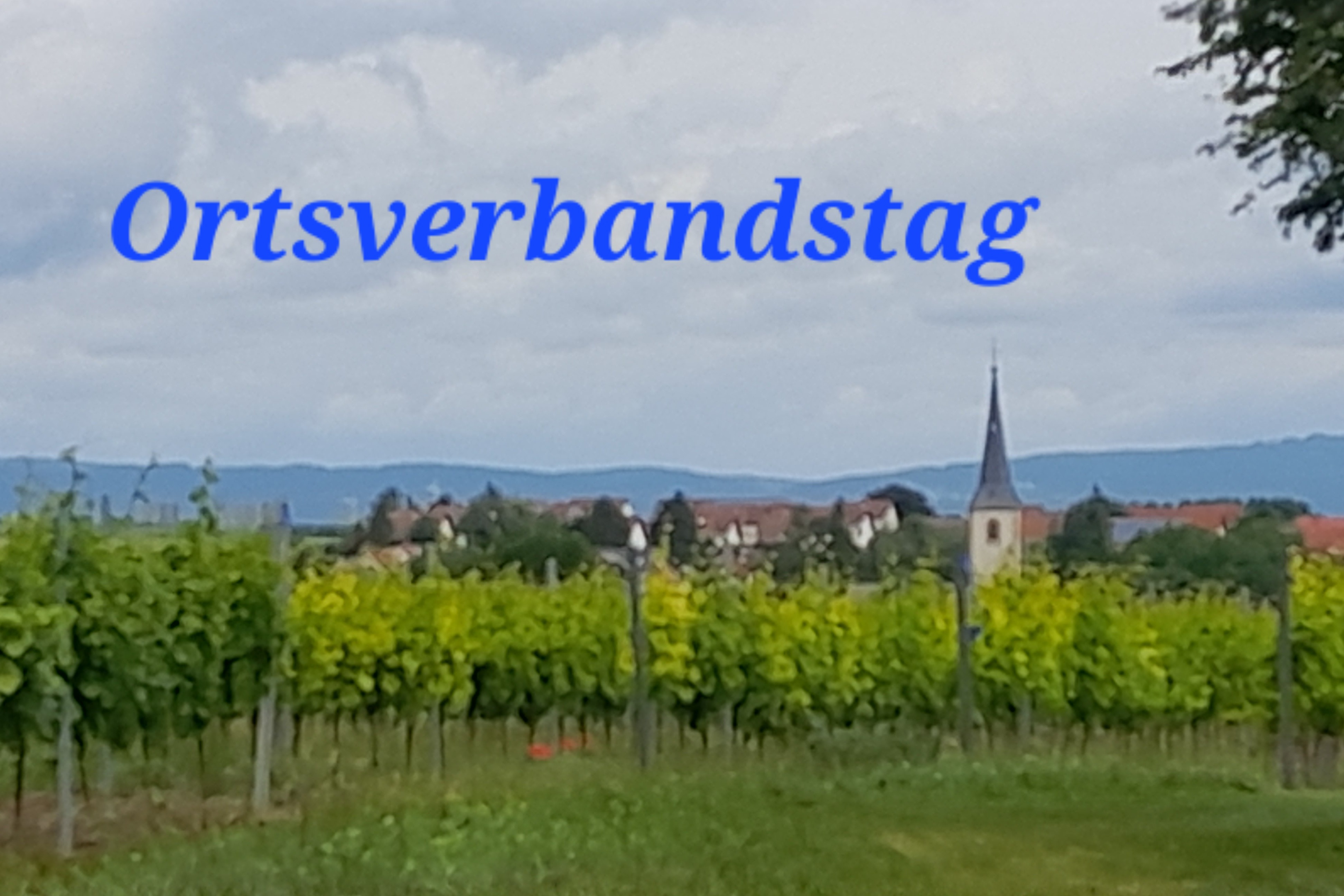 Ansicht von Ebersheim im Vordergrund sind Weinstöcke, mit Aufschrift Ortsverbandstag