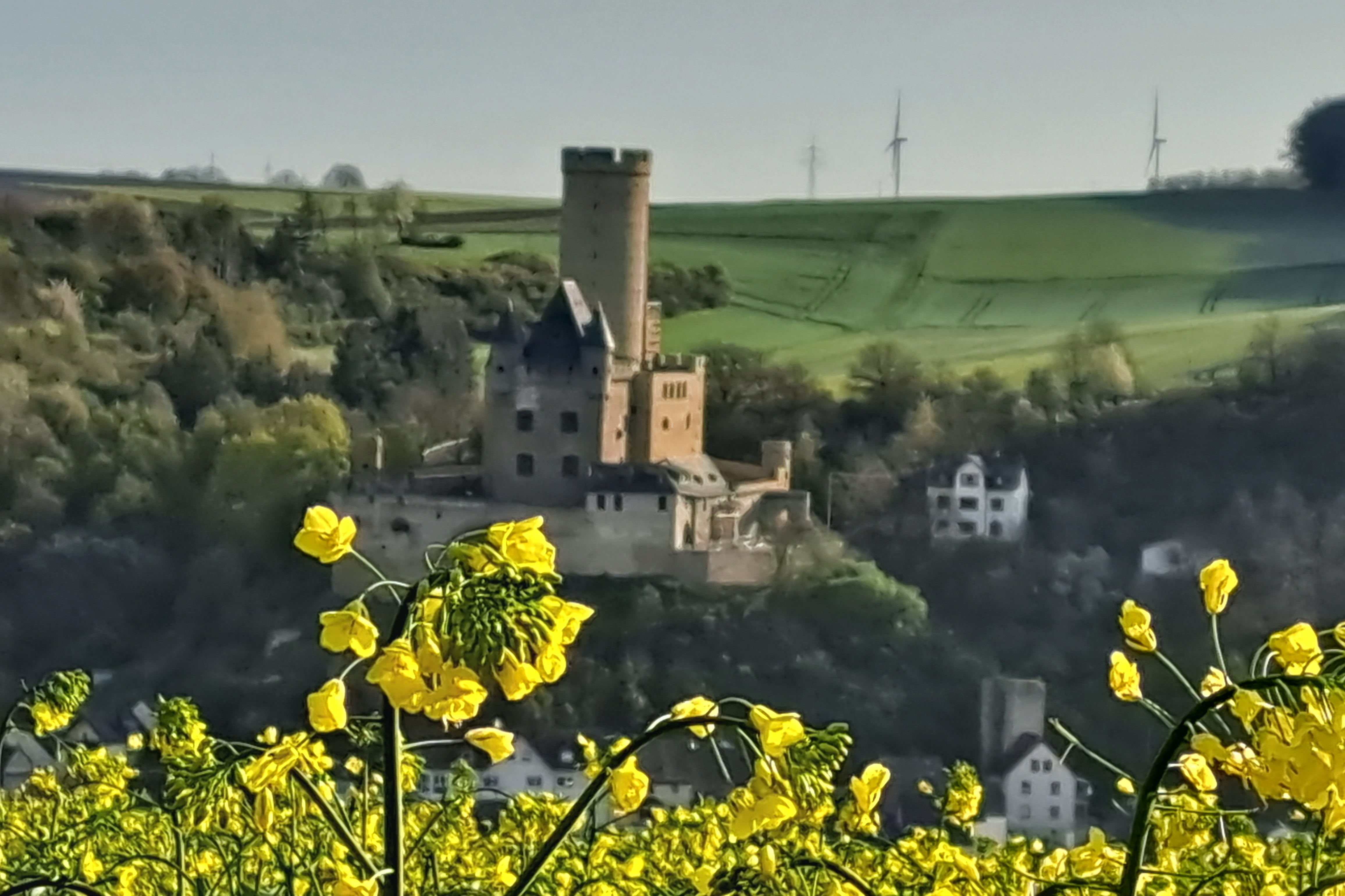 Burg Schwalbach im Frühling