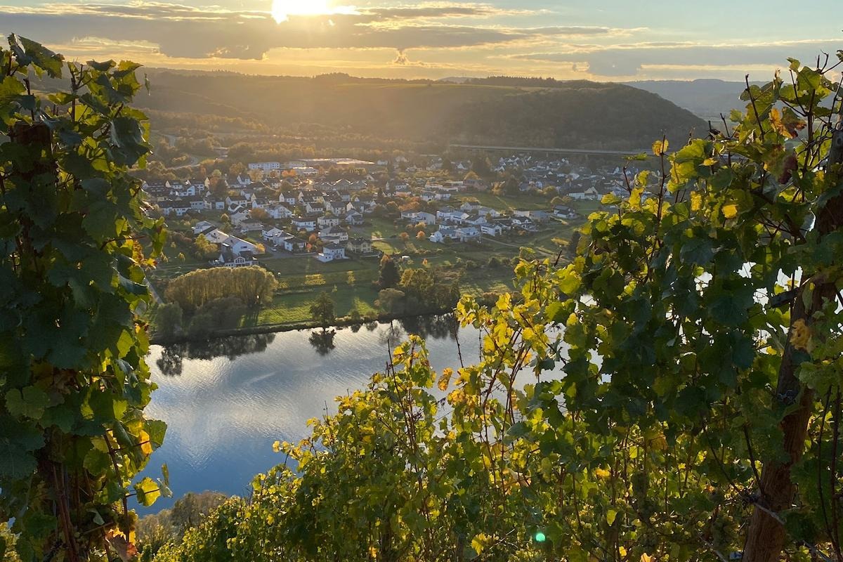 Mosel Landschaft Landschaftsaufnahme Weinberge Blick auf die Mosel