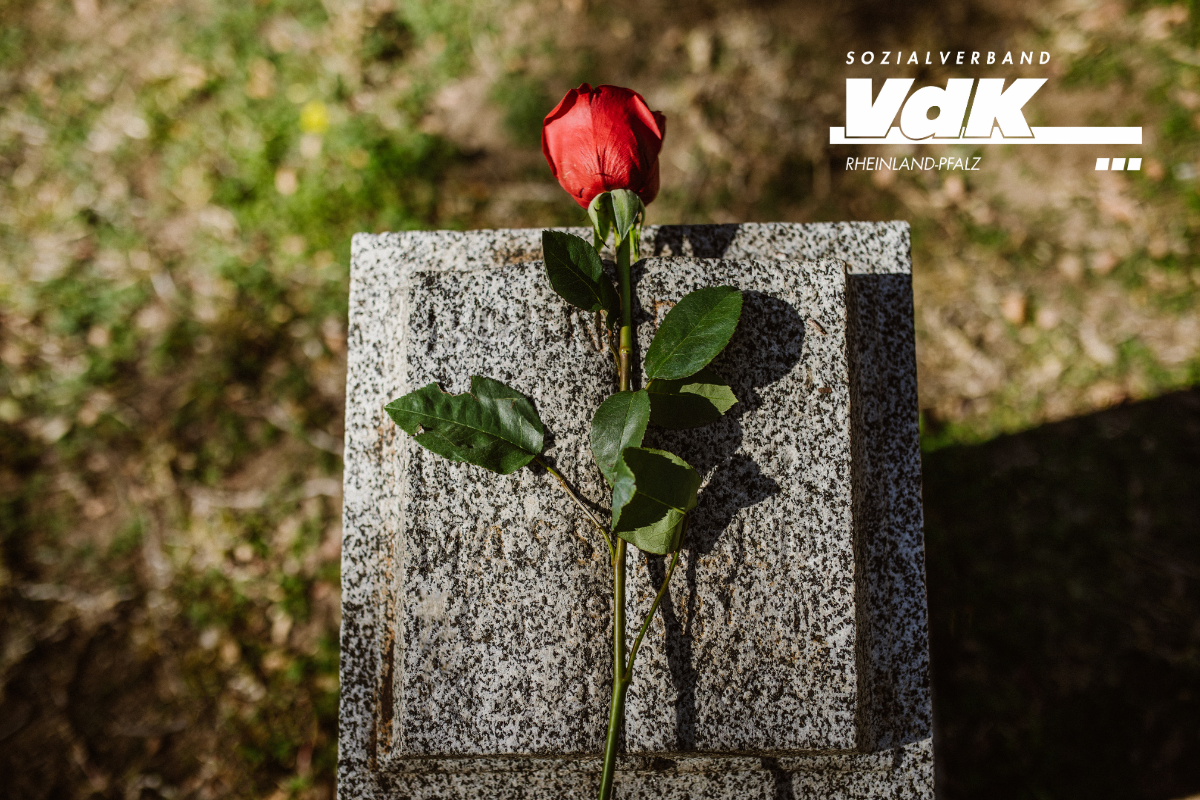 Volkstrauertag Grabstein mit roter Rose