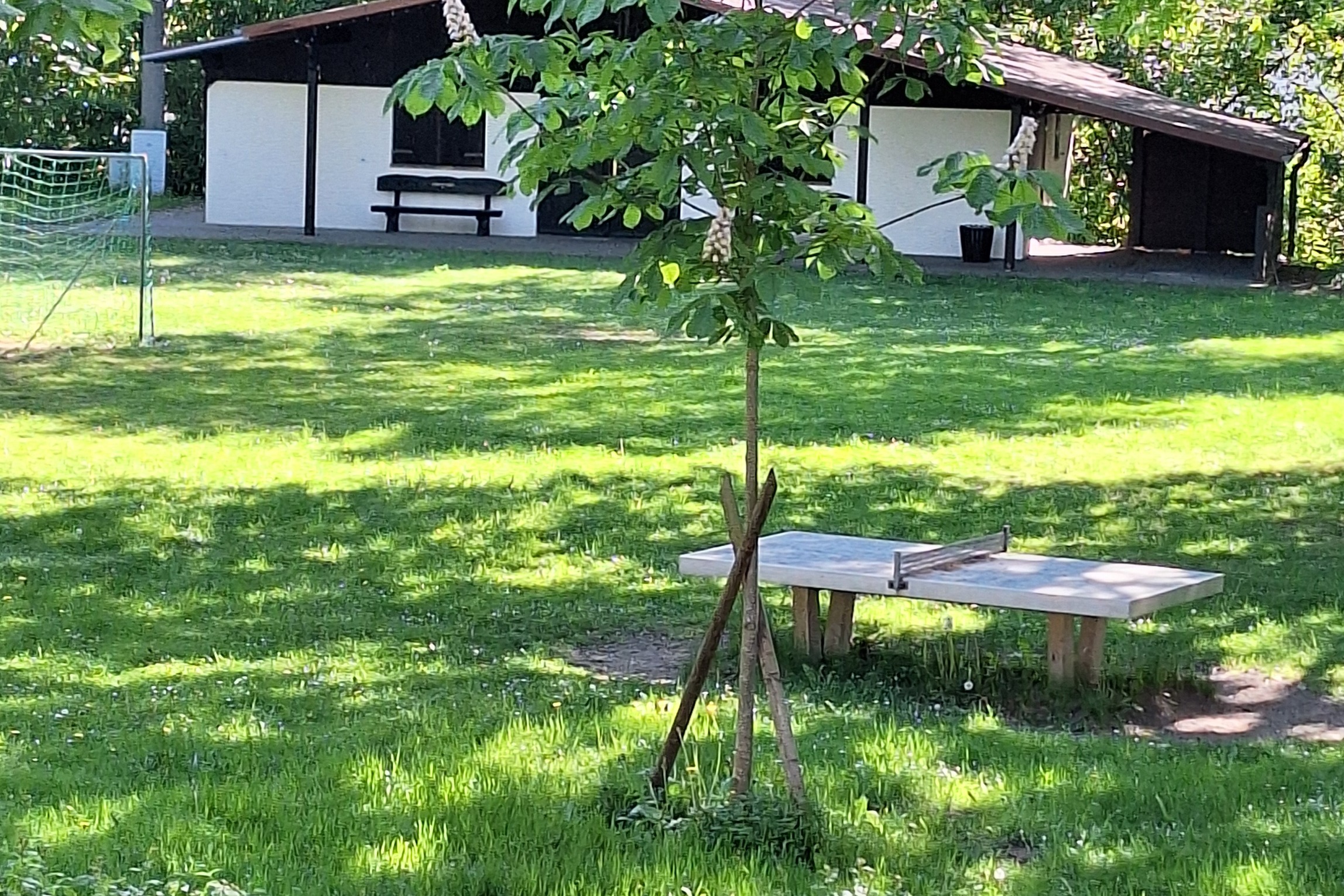 Grillhütte in Wengenroth er