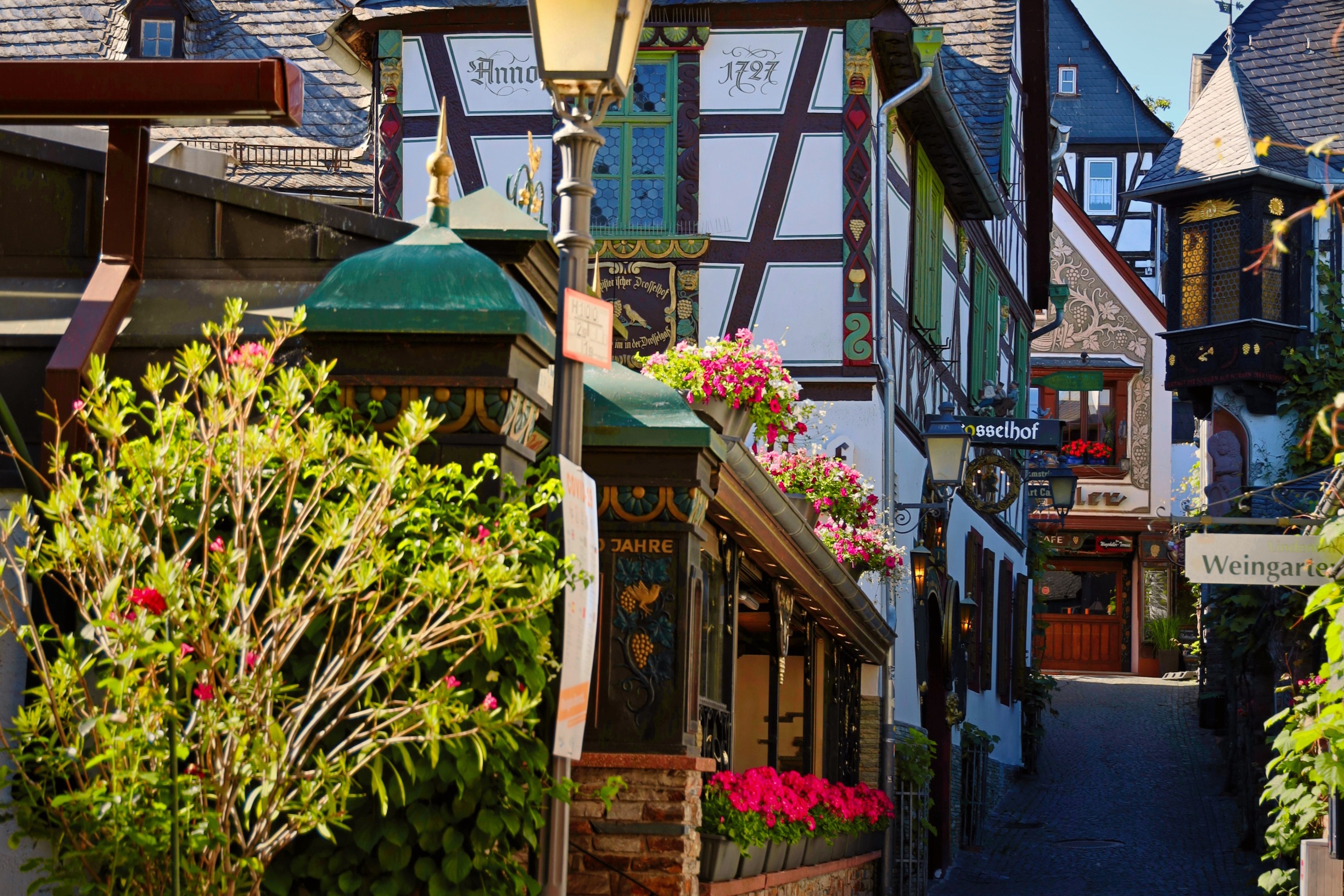 R&uuml;desheim