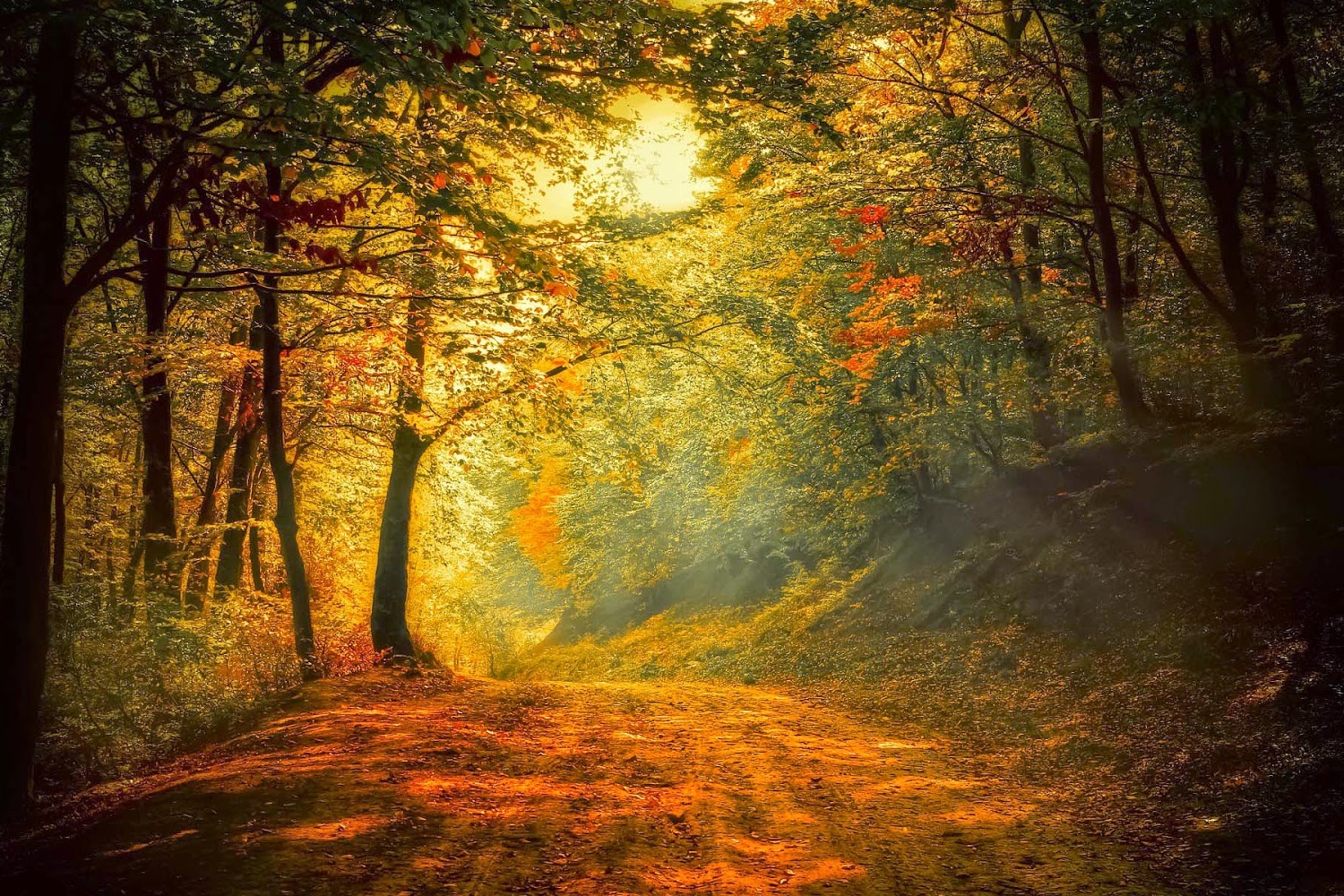 Von Herzen Geburtstagsgrüße zum November