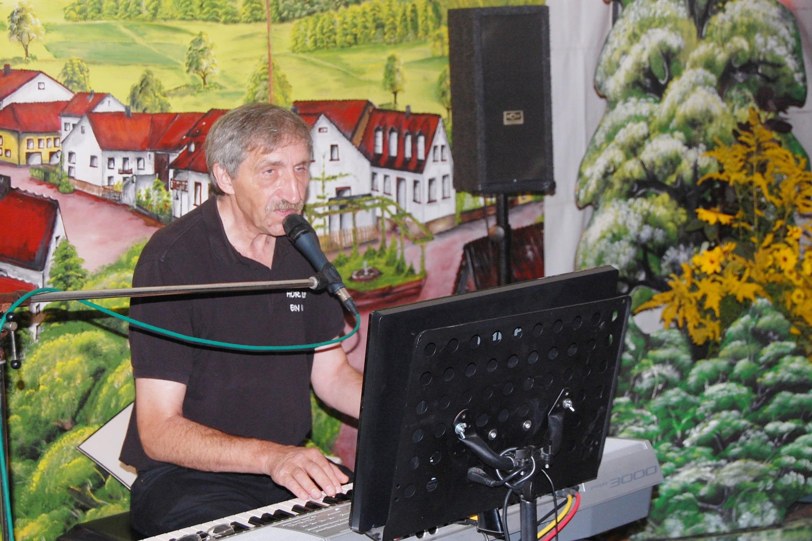 Pälzer Lieder