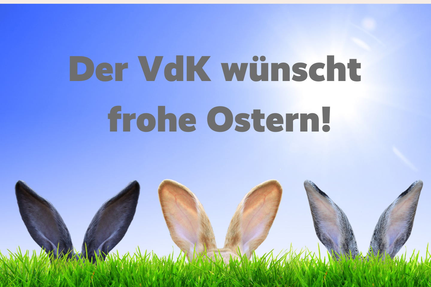Osterwünsche des VdK mit 3 Hasen die hinter einem Grashügel raus gucken